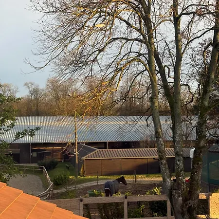 Apartment Terrasse Et Vue Campagne - Foret A 5 Min